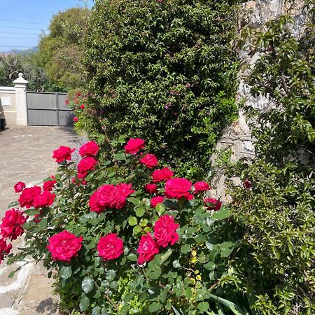 Les Trefles Apartment Hyeres Ngoại thất bức ảnh