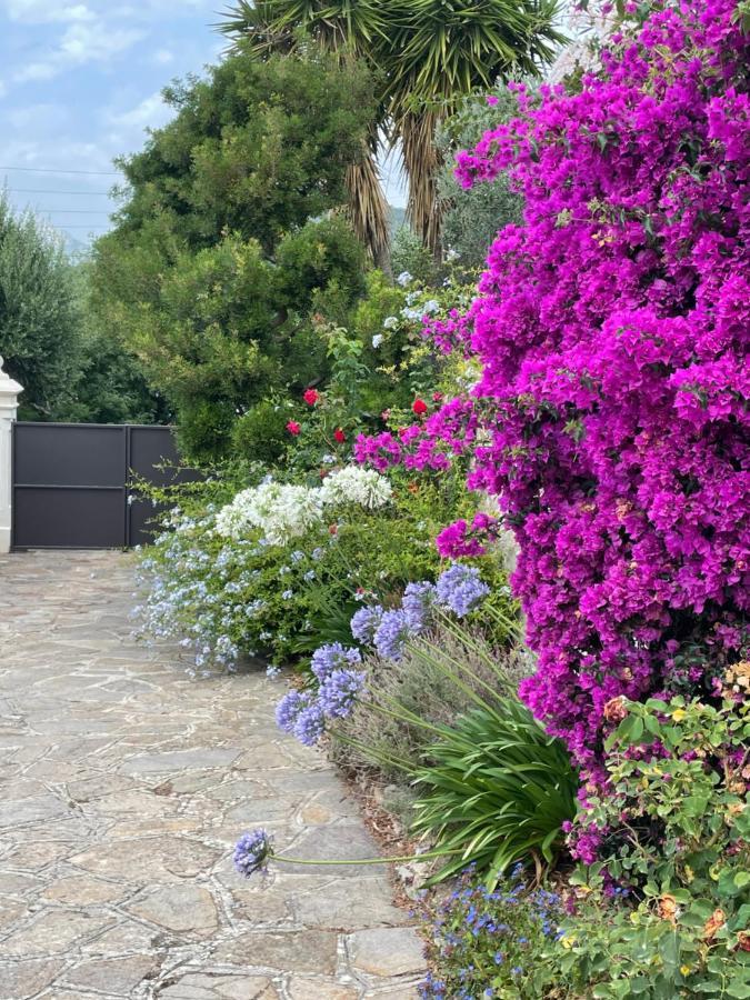 Les Trefles Apartment Hyeres Ngoại thất bức ảnh
